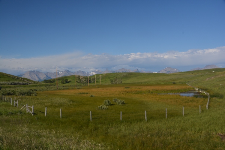 Alberta countryside